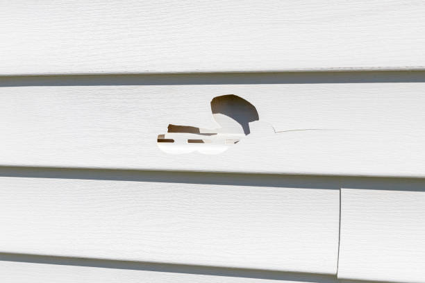 Affordable Siding Repair and Maintenance Services in Turlock, CA